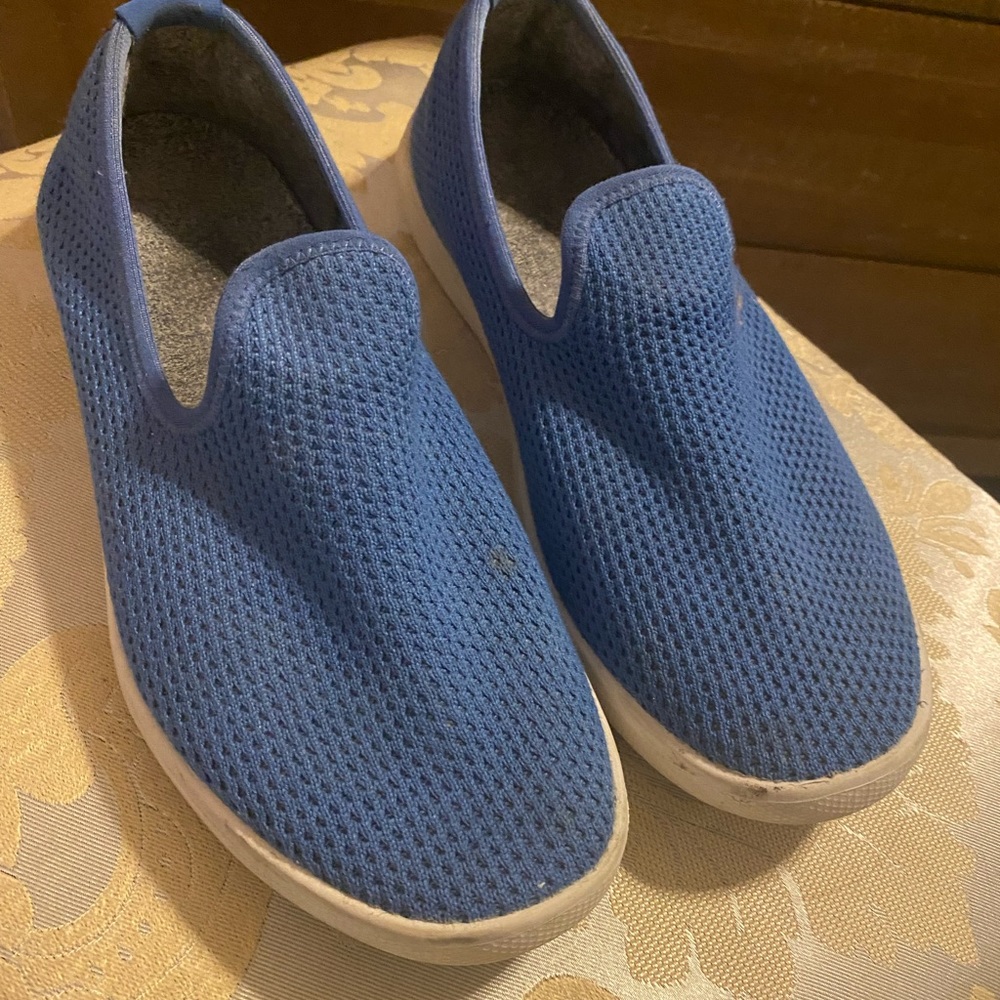 Allbirds Tree Loungers